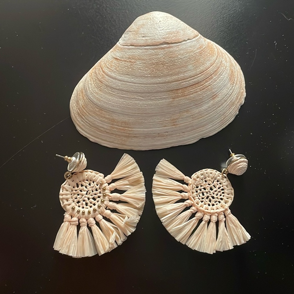 NWT Earrings